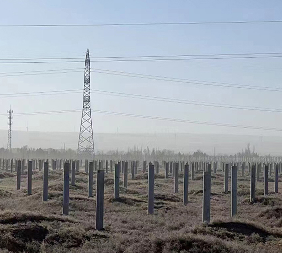 新能源光伏項目